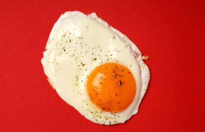 EGG X CHOLESTEROL: unveiling myths and truths