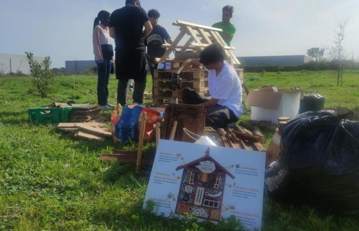 EPVL students build a hotel for insects in the Pedrulha Business Forest