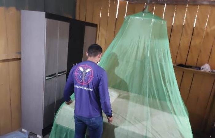 Roraima receives 10,000 insecticide-treated mosquito nets to combat malaria
