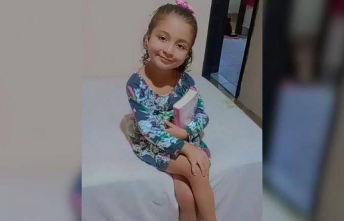 Death of 4-year-old girl is investigated by the MP after suspicion of medical negligence in SC | Santa Catarina