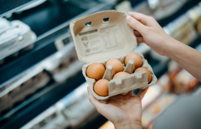 Cardiologist reveals how many eggs can be consumed per day