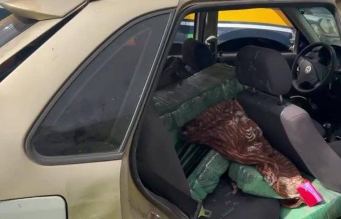 Man who was transporting 240 kg of marijuana is arrested after causing accidents and injuring his daughter in SC | Santa Catarina