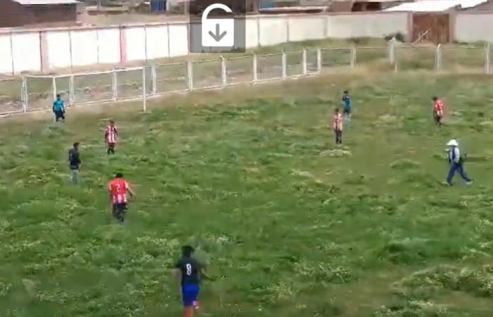 Football or jungle expedition? Match on unusual field goes viral on social media < No Attack