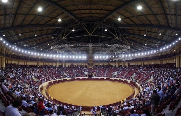 Campo Pequeno with races on July 4th, August 2nd and 23rd and September 6th