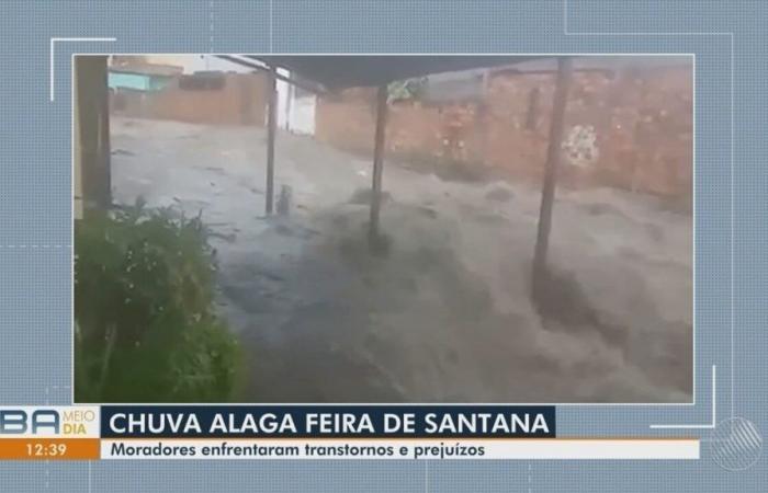 Flooded streets, car swept away by the flood and families’ despair: rain wreaks havoc in BA’s 2nd largest city | Bahia