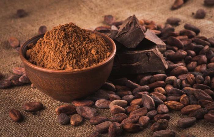 Ivory Coast doubles the purchase price of cocoa from local producers