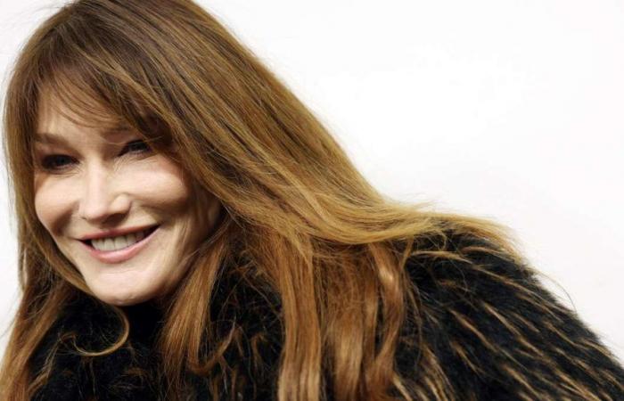 Carla Bruni confesses to alcohol addiction: ‘I’m seen as drunk’