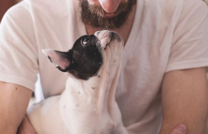 Dogs can smell trauma flashbacks in our breath