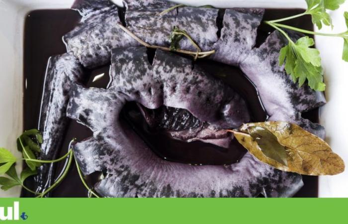 Coimbra defends urgent measures to preserve lamprey in Mondego | Biodiversity