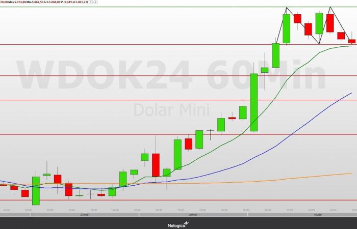 Minidollar (WDOK24) may experience volatility with BC intervention in the exchange rate