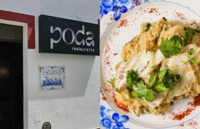Montemor-o-Novo restaurant among the four finalists for the Boa Mesa 2024 Revelation Award