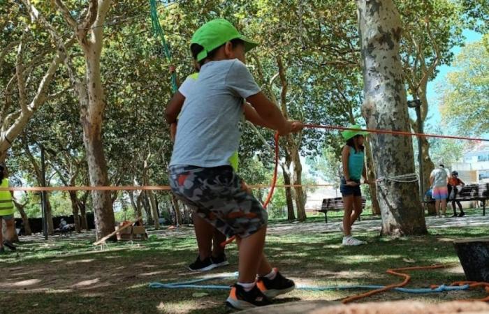 Albufeira Chamber will open registrations for activities aimed at younger people in August