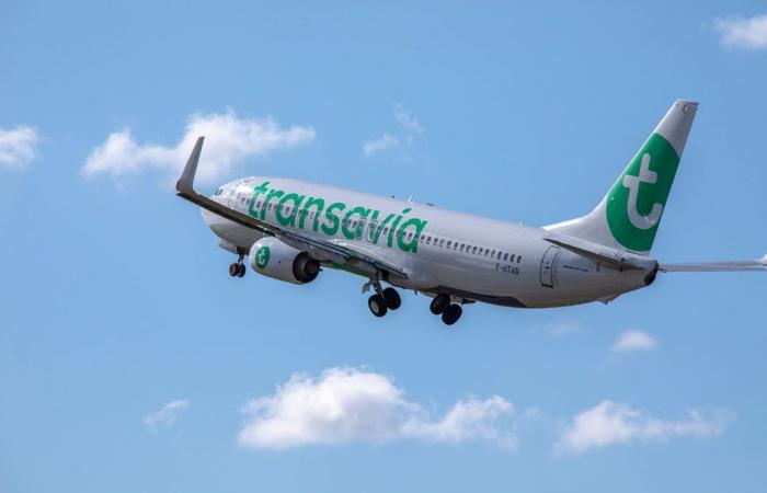 Transavia plans to transport 3 million passengers on routes to/from Portugal this year