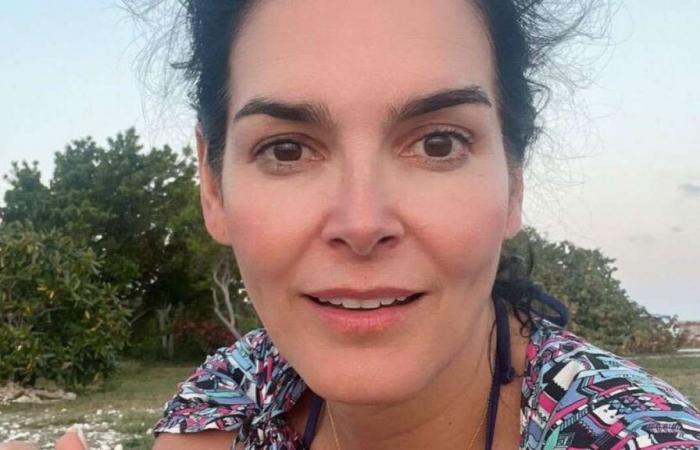 ‘Law & Order’ Actress Angie Harmon Says Delivery Man Killed Her Dog