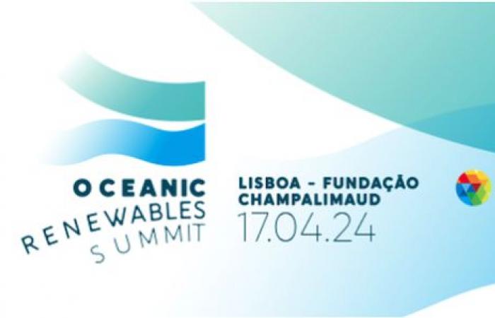 LEARN | Ocean Renewables Under Analysis by National and International Experts