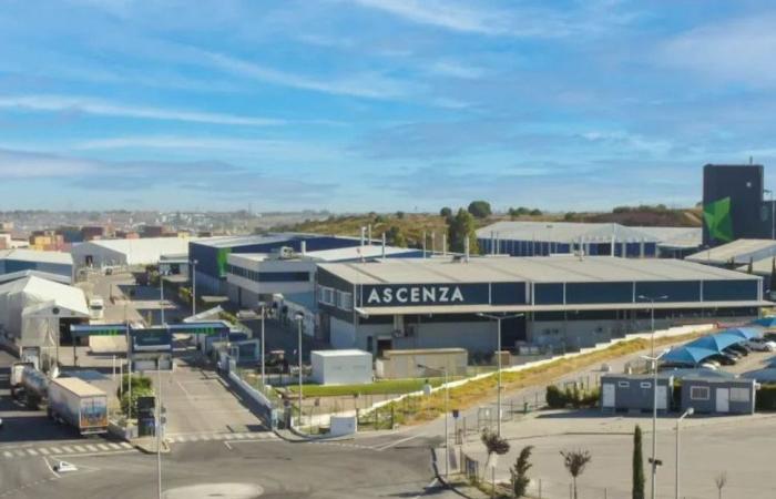 Ascenza Agro on strike on the 4th for wages and jobs