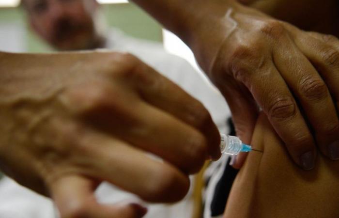 Understand what HPV vaccination is like in Brazil