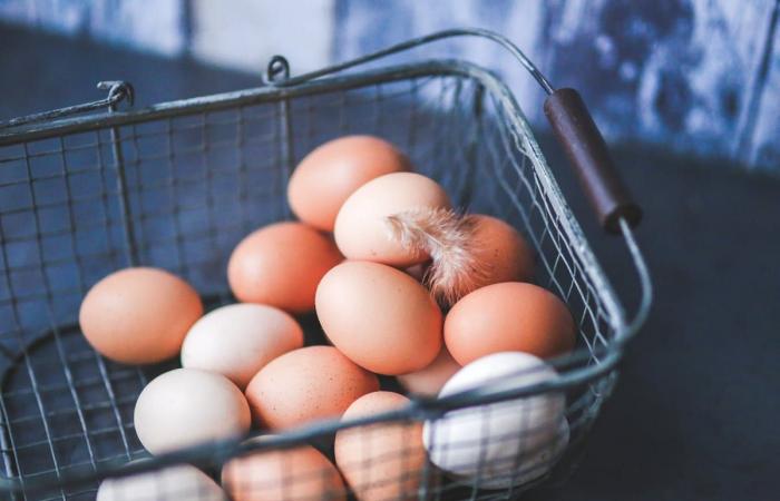 Cardiologist reveals how many eggs can be consumed per day