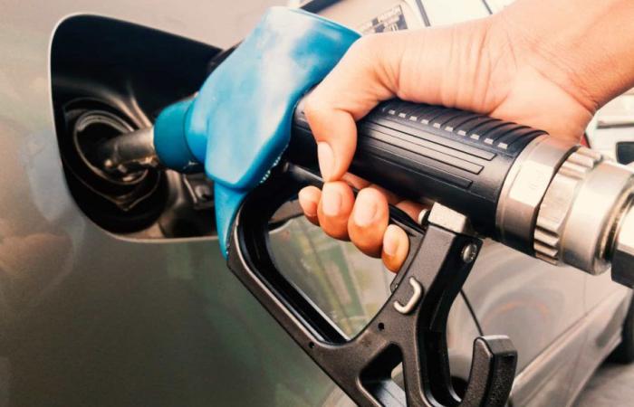 ERSE. Average weekly price rises 1% for gasoline and falls 1.3% for diesel