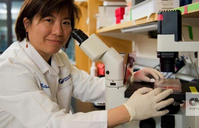 “A fantastic discovery” towards a new cancer vaccine: you need to know Catherine Wu