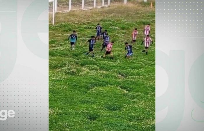 Bizarre lawn game goes viral before unusual World Cup in Peru; watch | Brasil Mundial FC