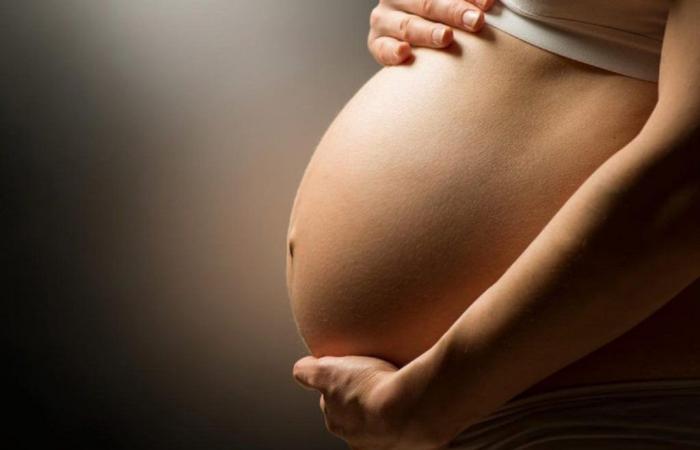 Pregnant woman from Lisbon assisted at Hospital do Barreiro