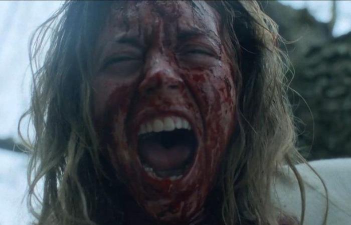 Horror film starring Sydney Sweeney makes viewers vomit during screenings: ‘I’ll never watch it again’ | Films