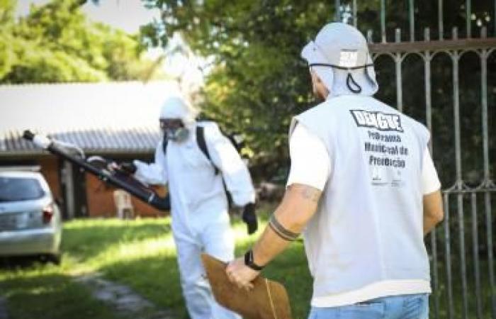 Porto Alegre records 1,263 cases of dengue this year