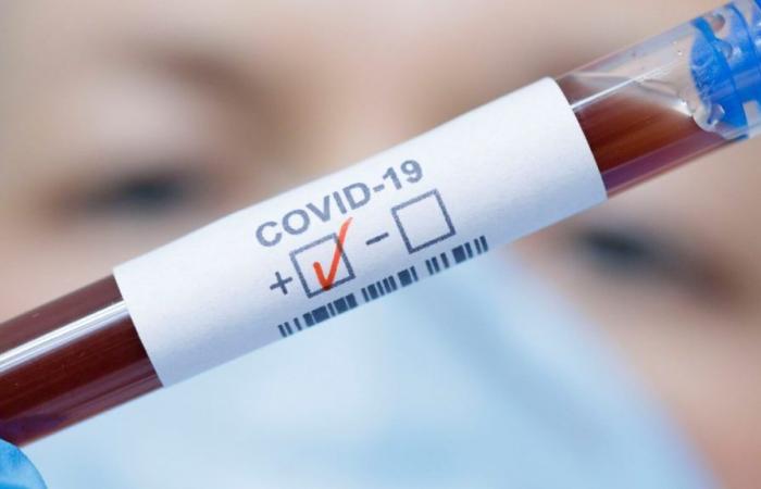 Almost 700 cases of Covid-19 have already been registered in Brusque this year