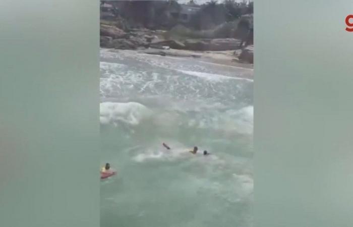 Lifeguards in helicopters are thrown into the sea to rescue a tourist who fell from the rocks on the coast of SP; VIDEO | Santos and Region
