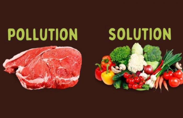 Bruno Blecher | War on meat fails to reduce consumption