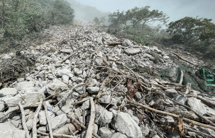 Brazilian shows start of earthquake in Taiwan; watch video | World