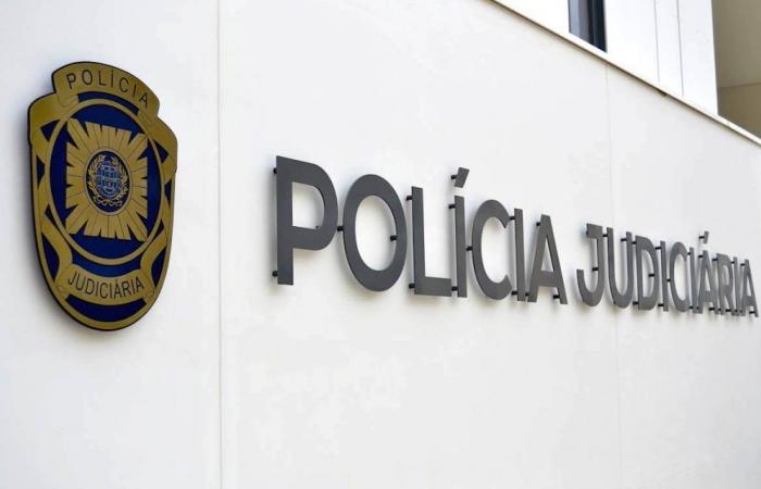 Three hundred investigations at the Leiria PJ in 2023 for fraud in a digital environment