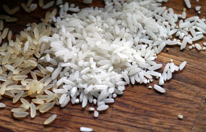 Rice: price rises again after ten weeks of decline | Rice