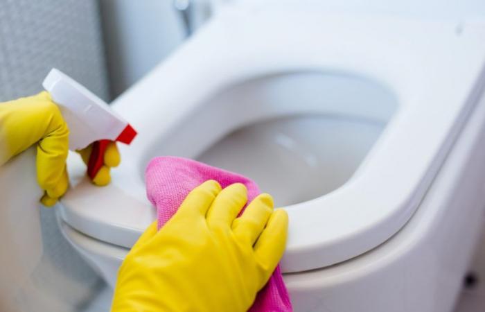 We discovered the hotel trick to get rid of stains on the toilet