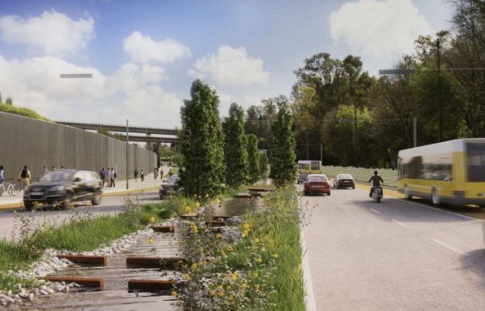Green corridor on Avenida de Ceuta will be reviewed