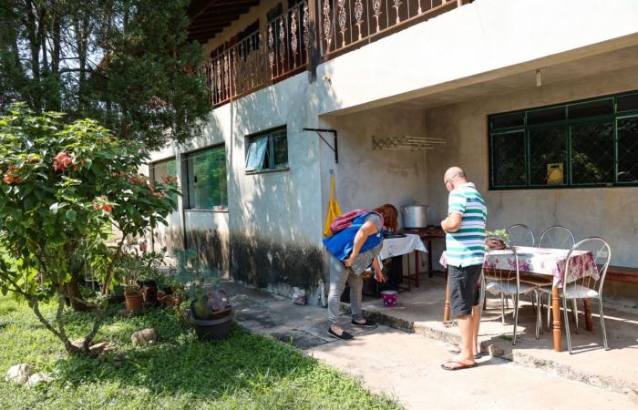 Dengue: cases increase and teams work in neighborhoods to contain the disease