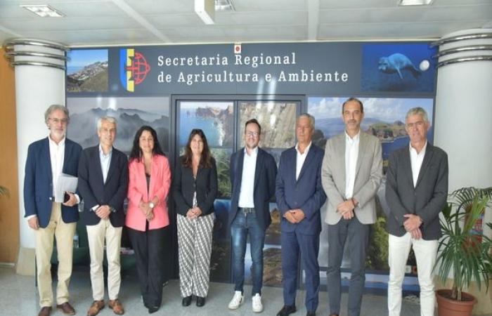 Madeira and the Canary Islands together in the Ultraperiphery
