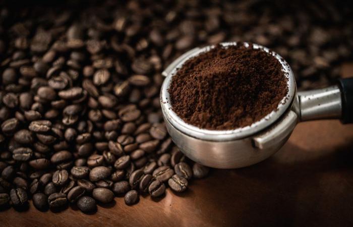 $1 coffee in China remains firm despite rising grain prices