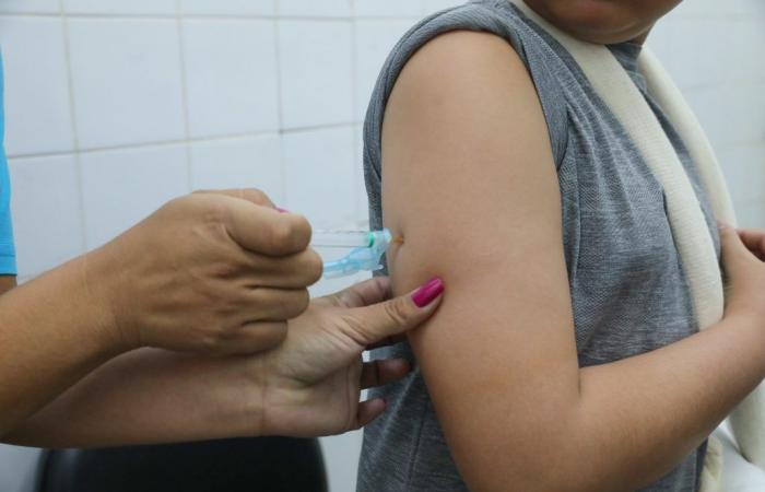Vaccination against dengue once again focuses on the public aged 10 to 14