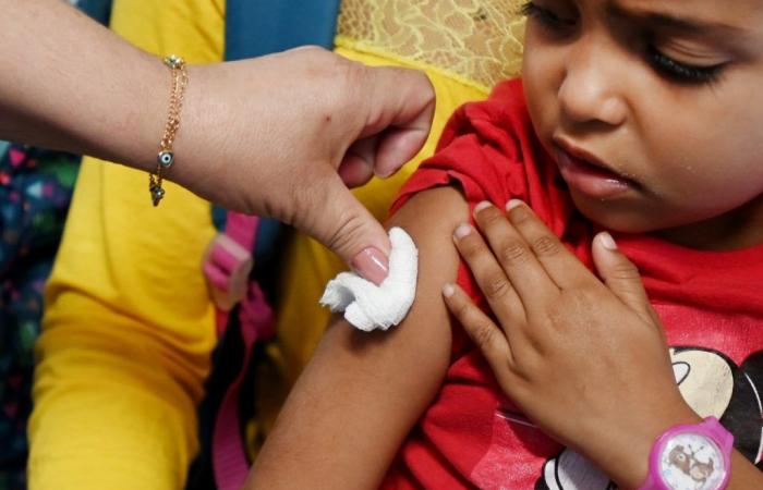 Sixteen of the 122 cities in MG awarded the ‘gold seal’ for vaccination targets are from the g1 Grande Minas area; see what they are | Grande Minas