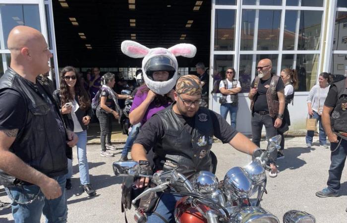 Star Riders motorcycle club held Egg Run solidarity event