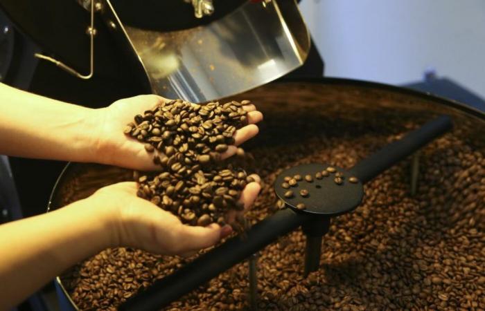 Arabica coffee prices rose this Thursday (25)