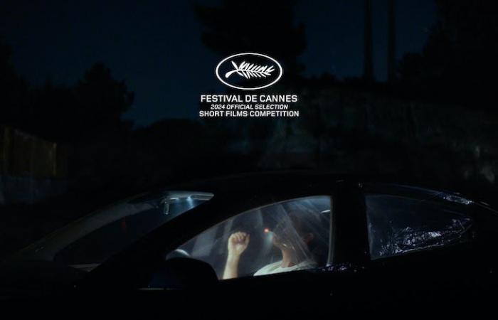 “Bad For a Moment”, another Portuguese film at Cannes 2024
