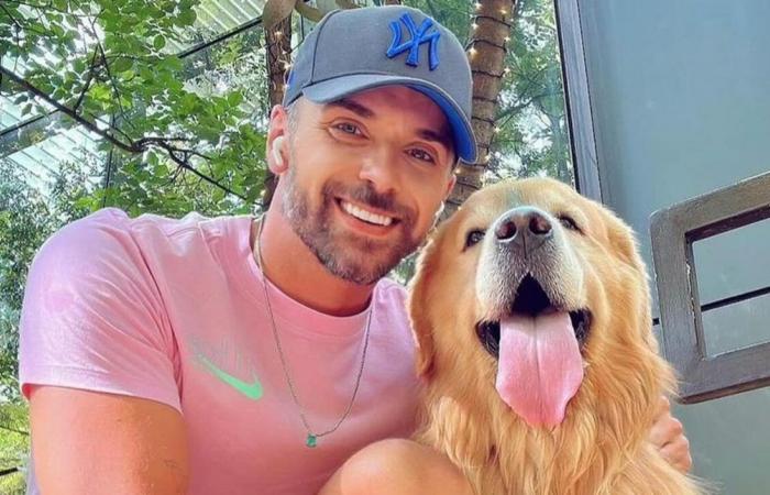 Luisa Mell, Dado Dolabella and celebrities show outrage after the death of a dog due to an airline failure | News