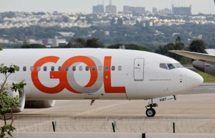 GOL shares plummet after dog dies on flight