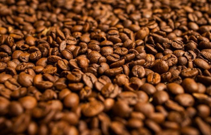 Coffee and cocoa prices rise on the New York Stock Exchange | Quotes