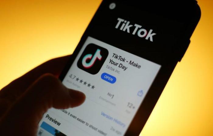 Application that pays you to watch TikToks is one step away from being suspended in the European Union