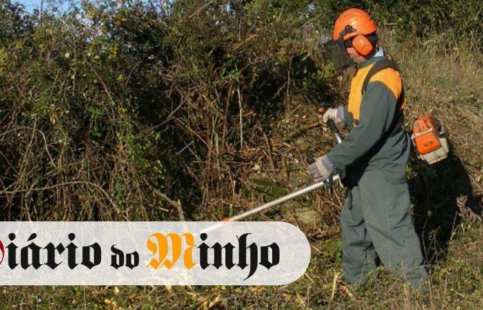 Braga among the districts with the least land cleaning