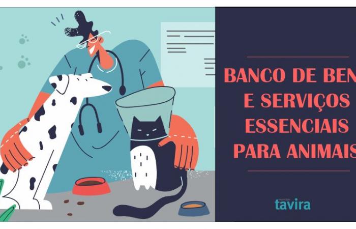 Tavira creates the Bank of Essential Goods and Services for Animals
